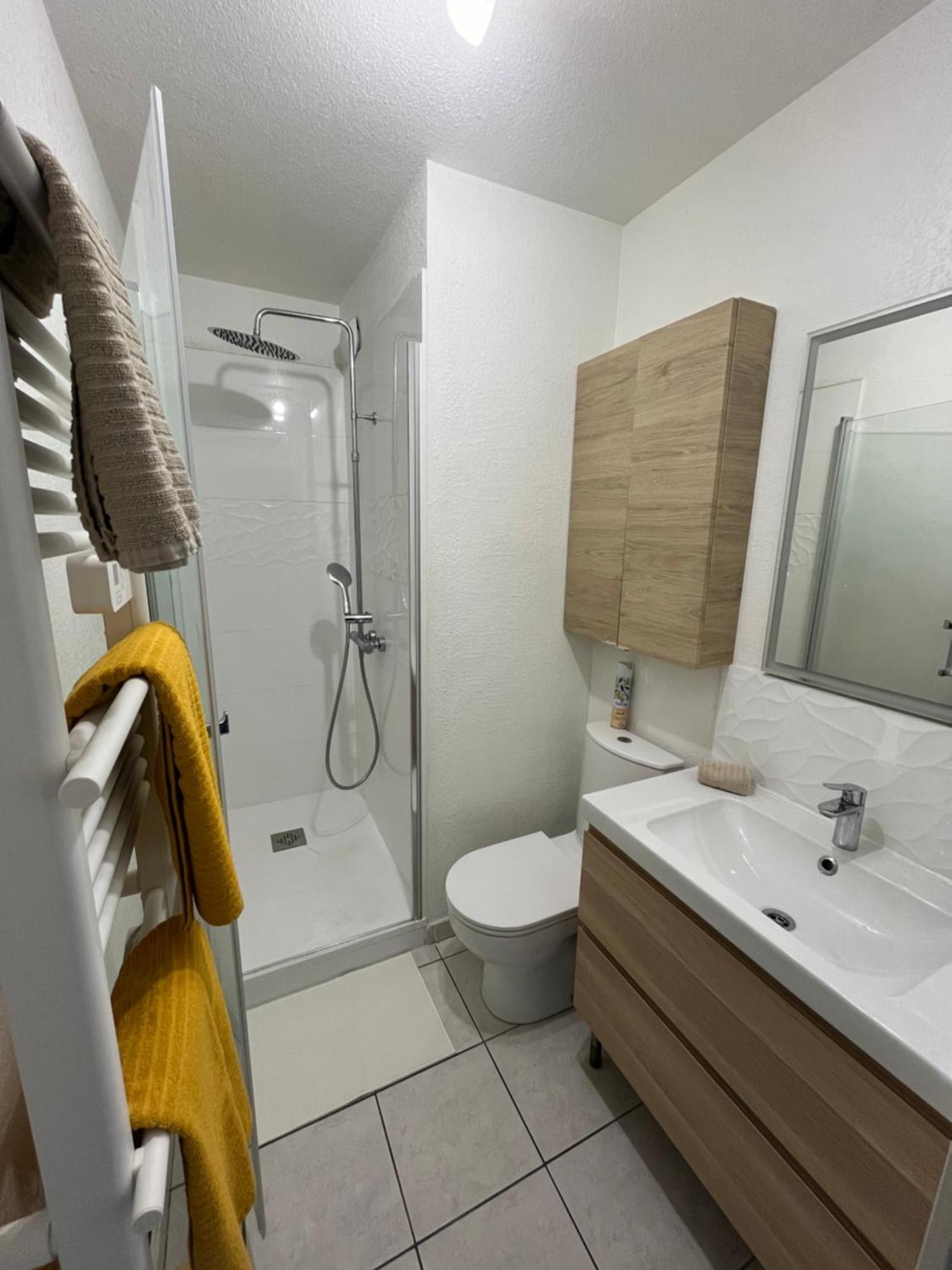 Appartement Joli T2/ Tram/ Clim/ Parking/ Wifi/ Piscine à Montpellier Extérieur photo